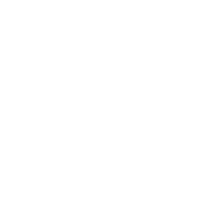 White Facebook icon