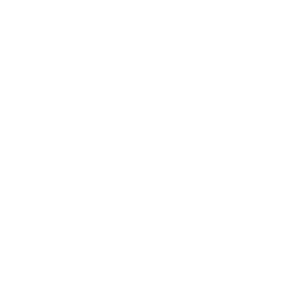 White Instagram icon